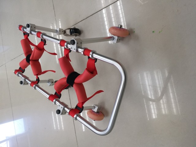 寵物輪椅