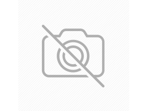 寵物水療跑步機